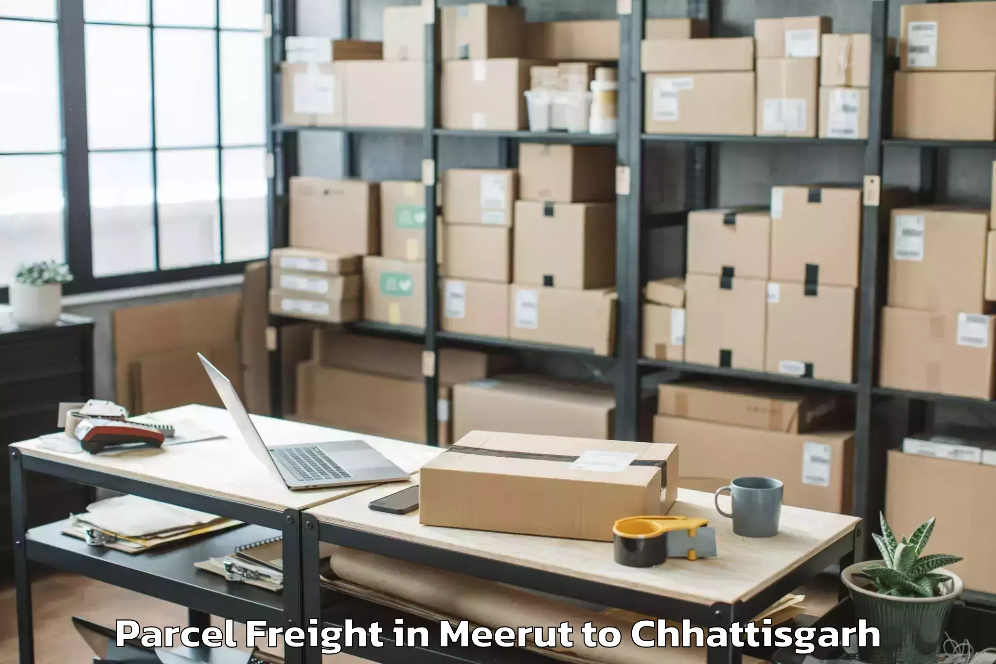 Book Meerut to Raipur Parcel Freight Online